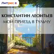 Постер книги Мой приезд в Тульчу