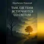 Постер книги Там, где тени встречаются со светом