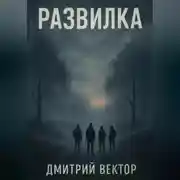Постер книги Развилка