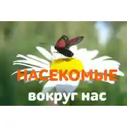 Постер книги Почему кусаются осы и как избавиться от опасного соседства?