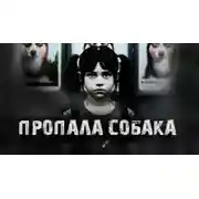 Постер книги Пропала собака!