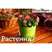 Постер книги На какие рекорды живучести способны… растения?