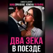 Постер книги МЖМ при муже. Измена по пьяни. Два зека в поезде