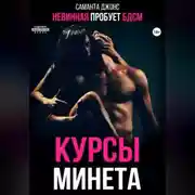 Постер книги Невинная пробует БДСМ. Курсы минета