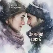 Постер книги Зимний гость