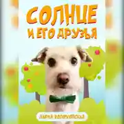 Постер книги Солнце и его друзья