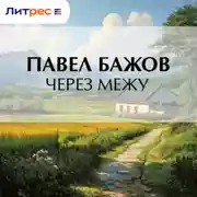 Постер книги Через межу