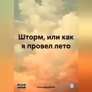 Постер книги ШТОРМ, ИЛИ КАК Я ПРОВЁЛ ЛЕТО
