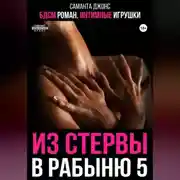 Постер книги БДСМ роман. Интимные игрушки. Из стервы в рабыню 5