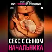 Постер книги Секс с горничной по принуждению. Секс с сыном начальника