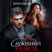 Постер книги Служебный развод