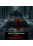 Алексей Небоходов - Сны про не вспомнить