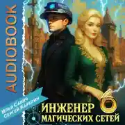 Постер книги Инженер магических сетей 6