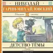 Постер книги Детство Тёмы