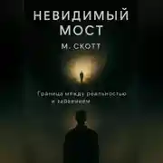 Постер книги Невидимый мост