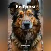 Постер книги Ее Гром