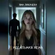 Постер книги Идеальная жена