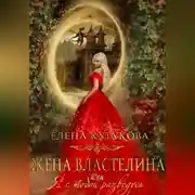 Постер книги Жена Властелина, или Я с тобой разведусь