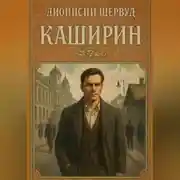 Постер книги Каширин