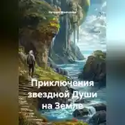 Постер книги Приключения звездной Души на Земле