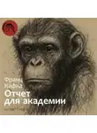Франц Кафка - Отчёт для академии