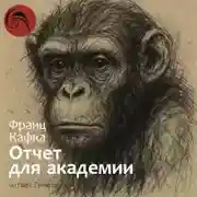 Постер книги Отчёт для академии