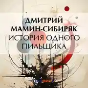 Постер книги История одного пильщика