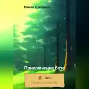 Постер книги Приключение Вета