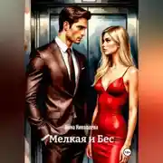 Постер книги Мелкая и Бес