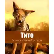 Постер книги Тито - дочь степей