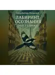 Николай Щербатюк - Лабиринт Осознания: Полет Сороки