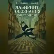 Постер книги Лабиринт Осознания: Полет Сороки