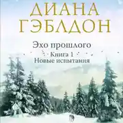 Постер книги Эхо прошлого. Книга 1. Новые испытания