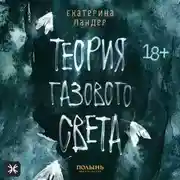 Постер книги Теория газового света