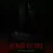 Постер книги чужой взгляд