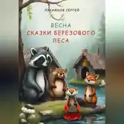 Постер книги Сказки березового леса