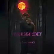 Постер книги Лунный свет