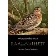 Постер книги Вальдшнеп