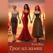 Постер книги Трое из замка