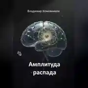 Постер книги Амплитуда распада