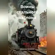 Постер книги Воины стального заслона