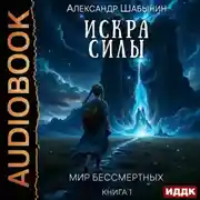 Постер книги Искра Силы