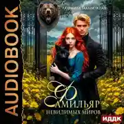 Постер книги Фамильяр невидимых миров