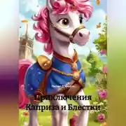 Постер книги Приключения Каприза и Блестки