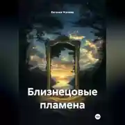 Постер книги Близнецовые пламена