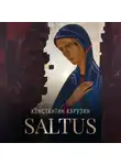 Константин Карузин - Saltus