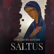 Постер книги Saltus