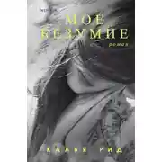 Постер книги Моё безумие