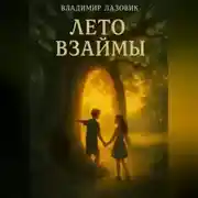 Постер книги Лето взаймы