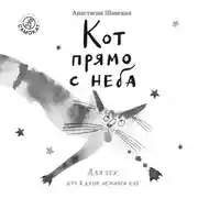 Постер книги Кот прямо с неба